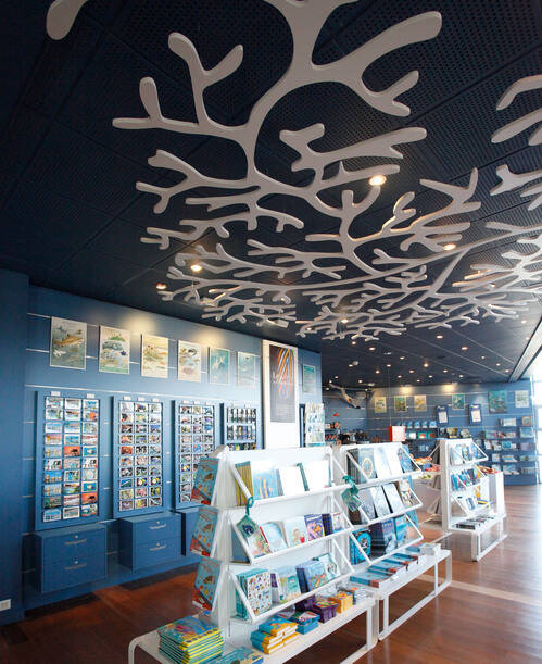 M moires d oc ans La boutique de l aquarium Shopping in La