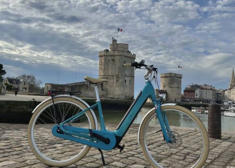 Les Hirondelles - Port de La Rochelle