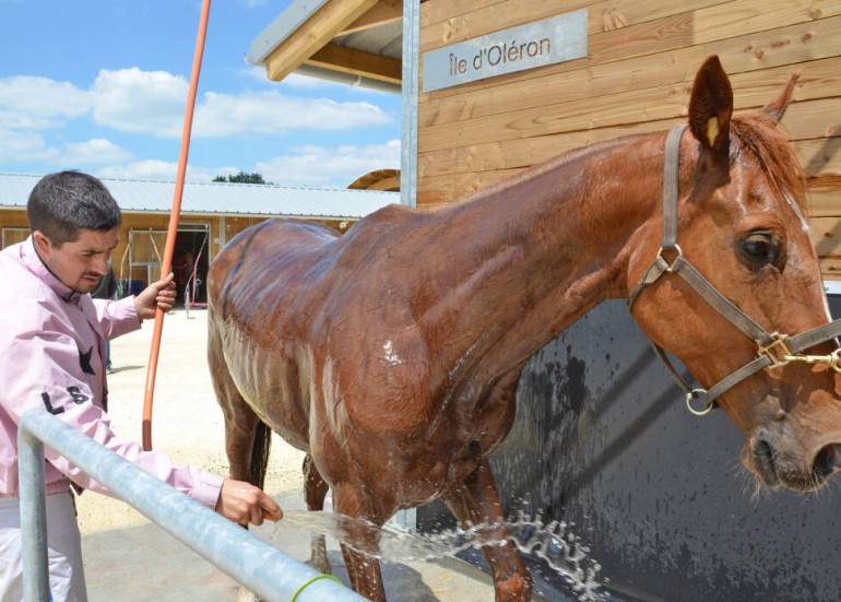 Courses à l'hippodrome_Châtelaillon-Plage