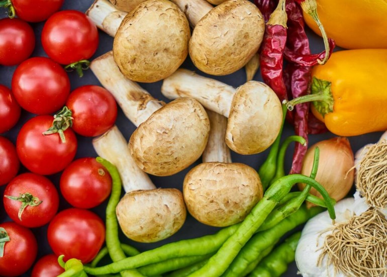 Conférence "Ma nutrition au quotidien : les clefs pour une assiette pleine de santé !"_Châtelaillon-Plage