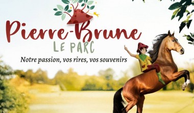 Pierre Brune le Parc_Mervent